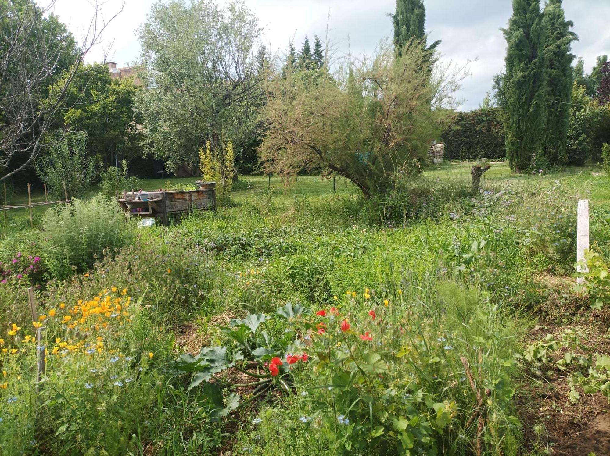 Campagne De Pre Grand Bed & Breakfast Saint-Étienne-les-Orgues Екстериор снимка